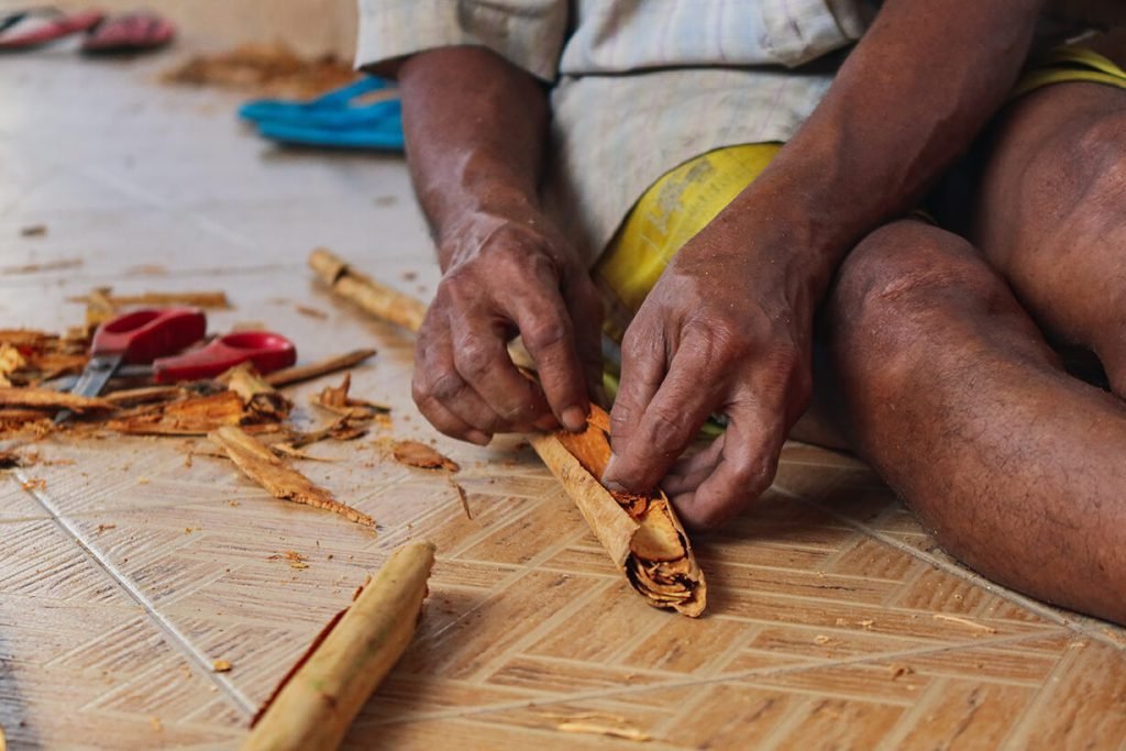 The Story of Ceylon Cinnamon
