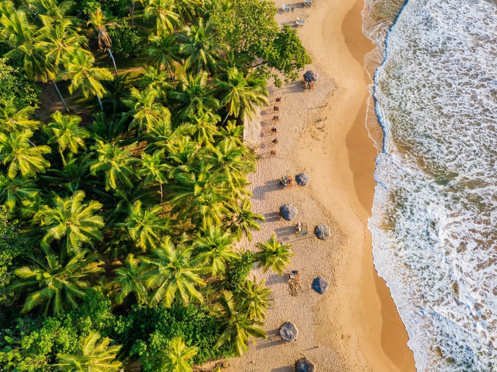 The Ultimate Sri Lanka Family Holiday 2026