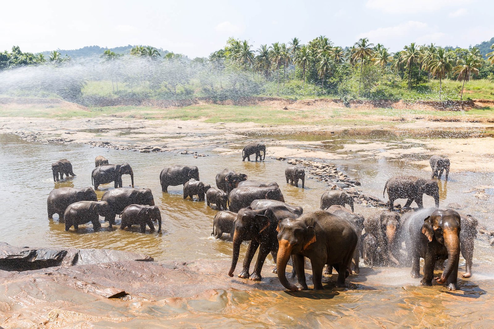 Wildlife Tour