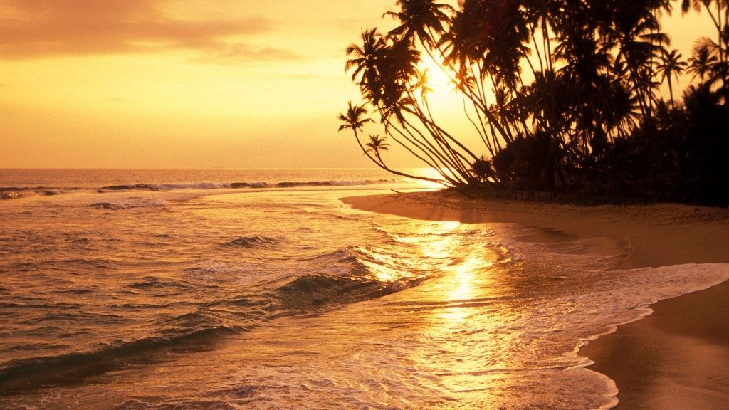 Beach & Relaxation Escape