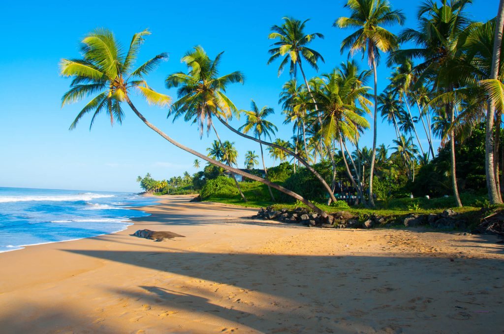 Mirissa’s Pristine Beaches